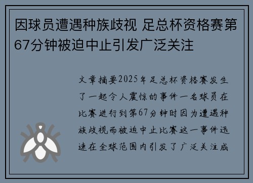 因球员遭遇种族歧视 足总杯资格赛第67分钟被迫中止引发广泛关注
